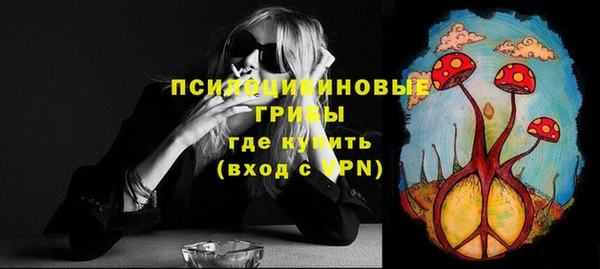 шишки Майский
