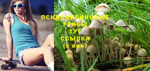 шишки Майский