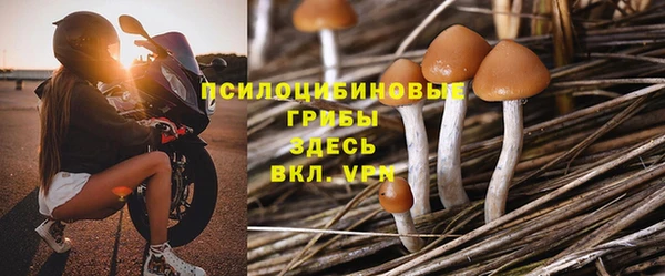 мет Магас