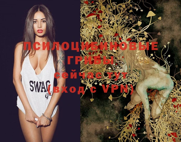 шишки Майский