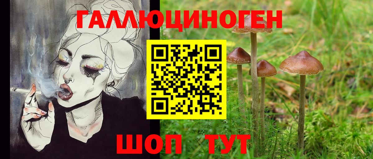 Мытищи  Галлюциногенные грибы Cubensis  Вход с VPN 