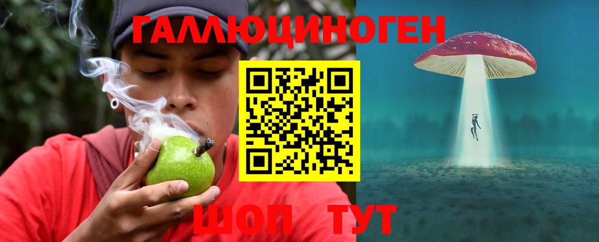 Галлюциногенные грибы ЛСД  Мытищи  купить закладку  Псилоцибиновые грибы ЛСД 